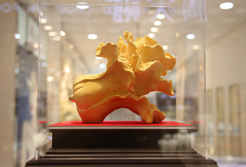 金店櫥窗展示
