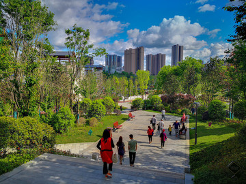 紫云公園