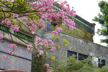 沙灣古鎮(zhèn)