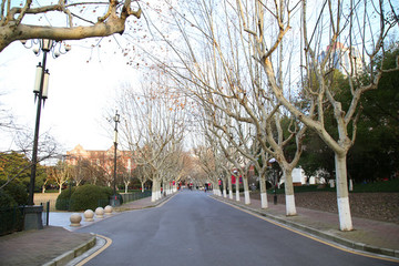 上海交通大學(xué)校園風(fēng)光
