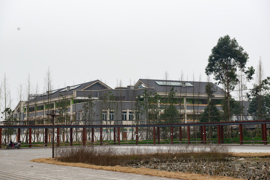 新農(nóng)村建筑