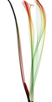 抽象藝術(shù)彩帶