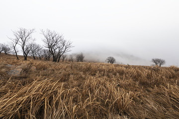 荒山云霧