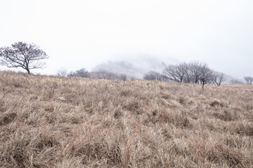 荒山云霧