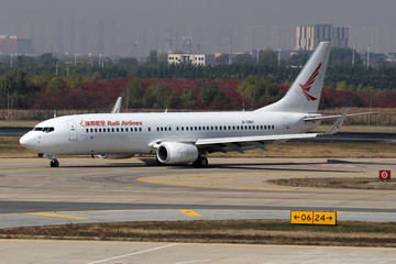 瑞麗航空公司飛機(jī)