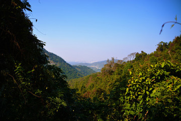 梧桐山風(fēng)光
