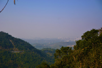 梧桐山遠(yuǎn)望