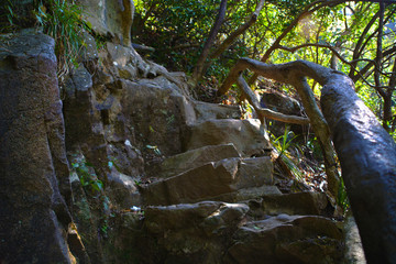 梧桐山山路