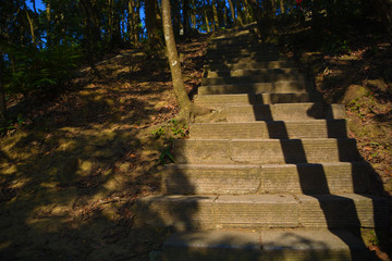 景區(qū)山路