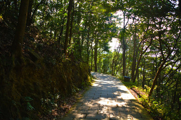 景區(qū)山路