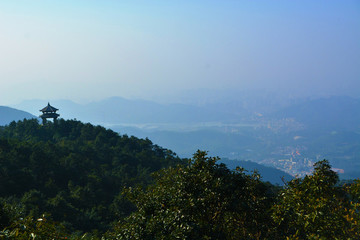 梧桐山風(fēng)光