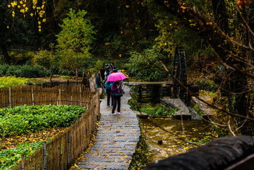 石板路游人雨傘
