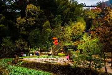 紅葉田埂菜園