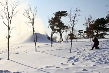 樹雪攝影師