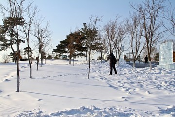 雪景