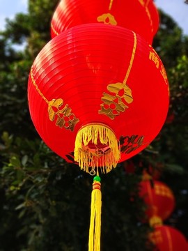 紅燈籠