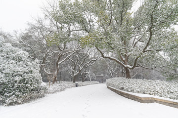 武漢雪景風(fēng)光