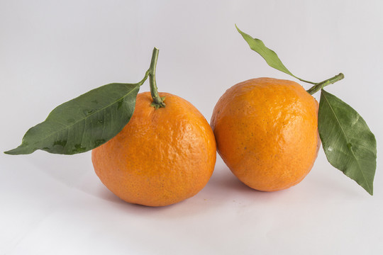 兩個(gè)帶葉的橙子