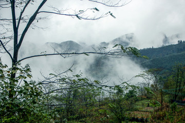 山中云霧