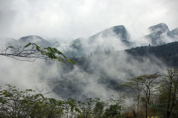 高山云霧繚繞