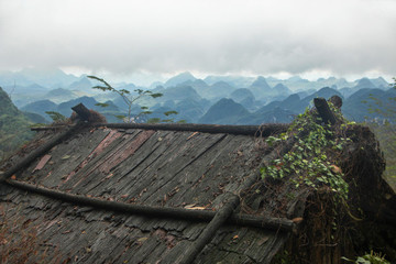 樹皮屋頂