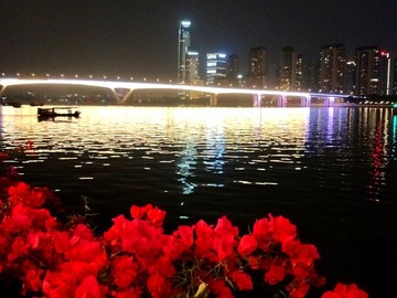 美麗珠江夜
