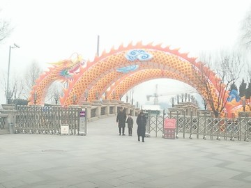 龍