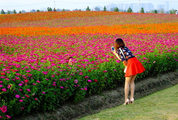 美女與花
