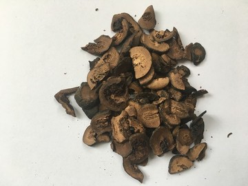 枳實(shí)