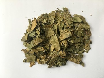 布渣葉