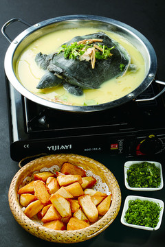 野生甲魚