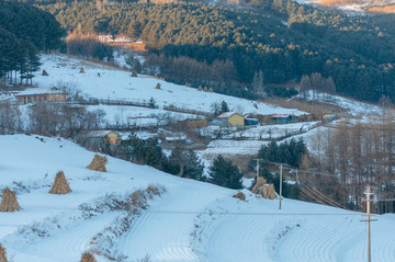 雪村