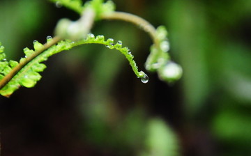 雨滴