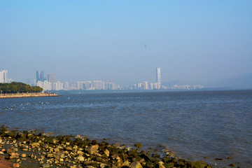 深圳灣風(fēng)景