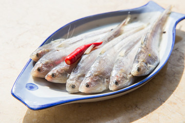 刀魚
