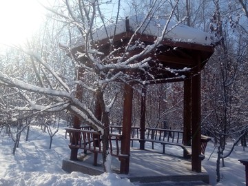 雪景