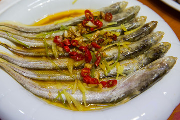長(zhǎng)江刀魚