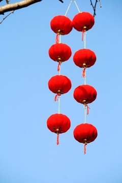 紅燈籠