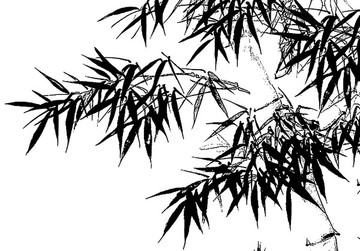 竹子