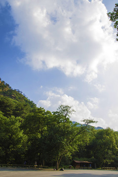 千山財神廟候車亭樹林與滾滾白云