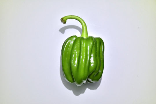 青椒