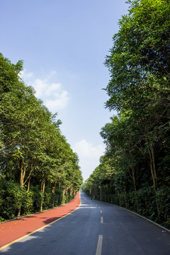青秀山道路