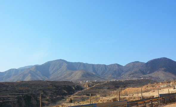 山