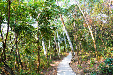 山里小道