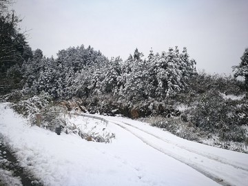鄉(xiāng)村雪景