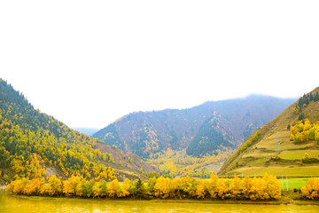 青海秋景