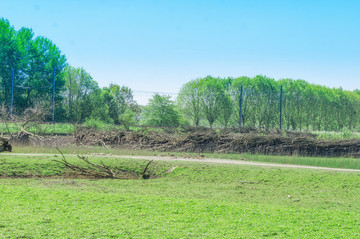 荷蘭濕地公園