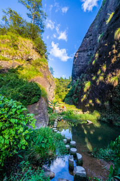 中國(guó)福建武夷山大紅袍景區(qū)