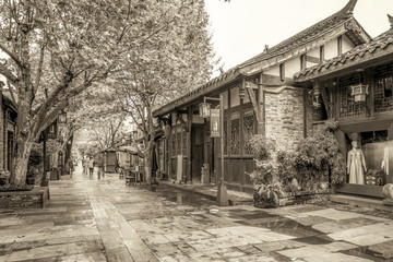 成都古鎮(zhèn)寬窄巷子