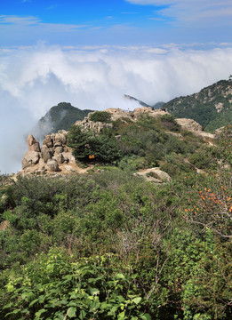 山東泰山云海之巔